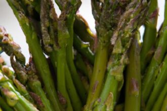 Crispy & Easy: The Ultimate Asparagus Air Fryer Recipe