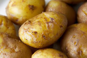 Golden Perfection: The Art and Science of Roasted Potatoes