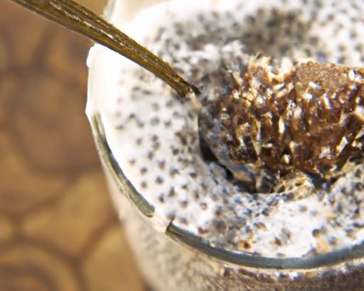 Power-Packed Chia Seed Pudding: Protein Boosted Delight