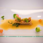 Seeds Uncovered: Nature’s Tiny Powerhouses of Life and Growth