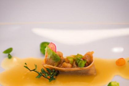 Seeds Uncovered: Nature’s Tiny Powerhouses of Life and Growth